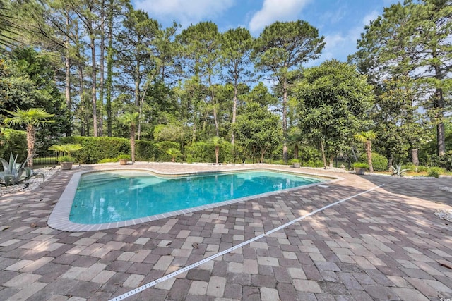 4232 Pointer Ct, Myrtle Beach, SC 29579 - view of swimming pool featuring a patio area and view of scattered trees