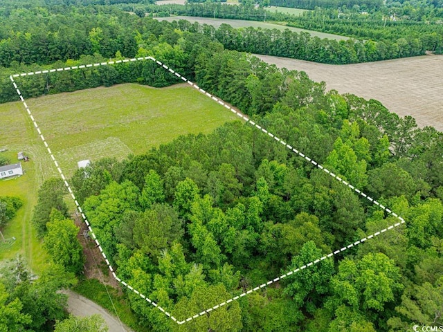 6.5ACRES Christine Pl, Hemingway, SC 29554 - photo 1