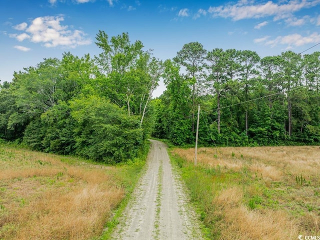 6.5ACRES Christine Pl, Hemingway, SC 29554 - photo 2