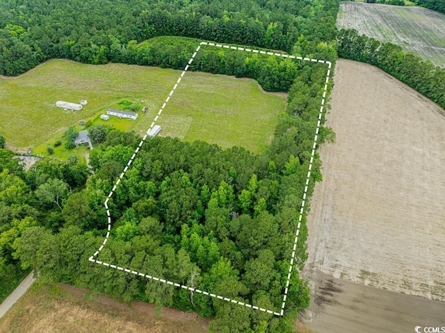 6.5ACRES Christine Pl, Hemingway, SC 29554 - photo 3