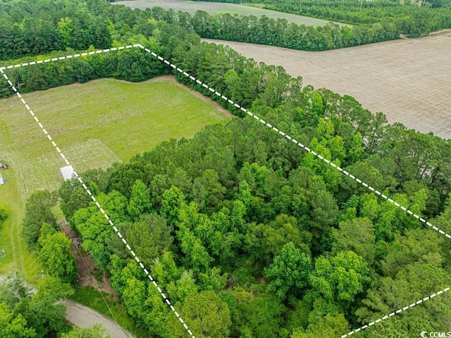 6.5ACRES Christine Pl, Hemingway, SC 29554 - photo 4