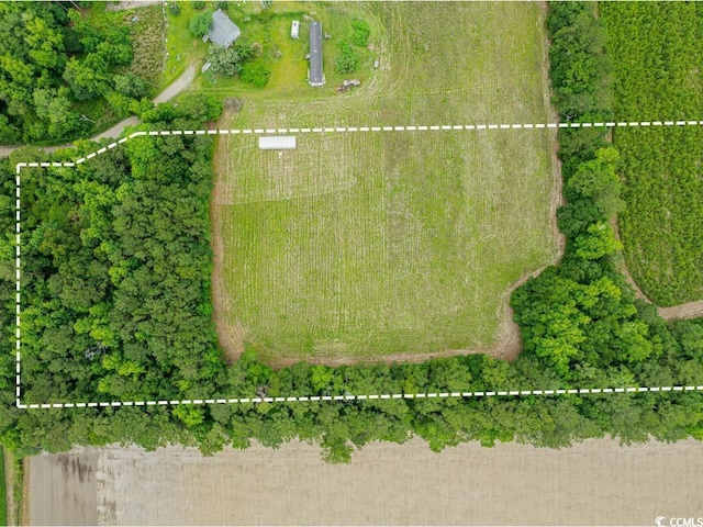 6.5ACRES Christine Pl, Hemingway, SC 29554 - photo 5