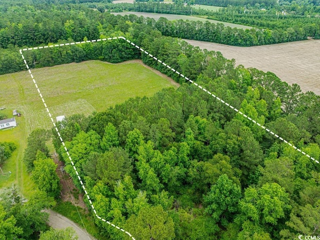 6.5ACRES Christine Pl, Hemingway, SC 29554 - photo 6