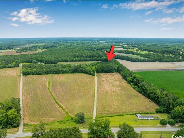 6.5ACRES Christine Pl, Hemingway, SC 29554 - photo 8