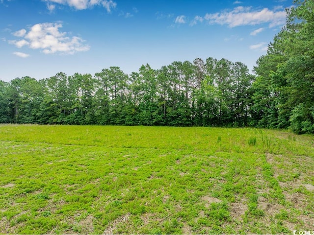 6.5ACRES Christine Pl, Hemingway, SC 29554 - photo 10