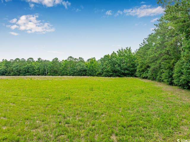 6.5ACRES Christine Pl, Hemingway, SC 29554 - photo 11