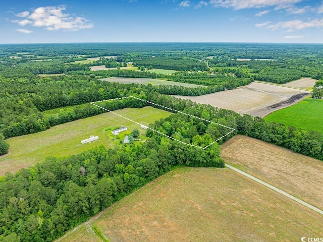 6.5ACRES Christine Pl, Hemingway, SC 29554 - photo 12