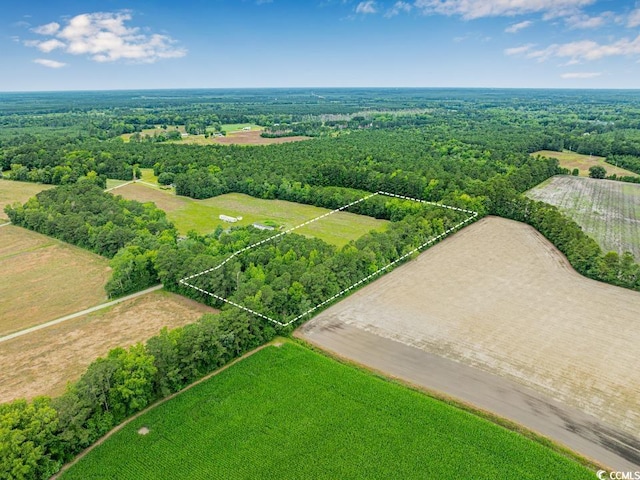 6.5ACRES Christine Pl, Hemingway, SC 29554 - photo 13