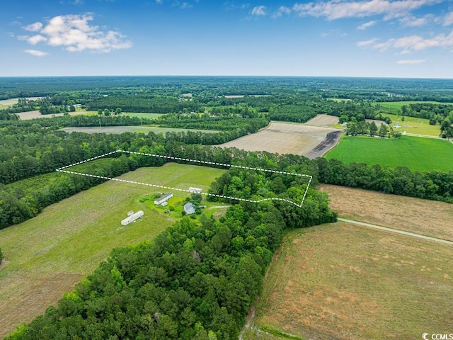 6.5ACRES Christine Pl, Hemingway, SC 29554 - photo 14