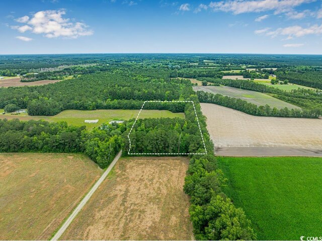6.5ACRES Christine Pl, Hemingway, SC 29554 - photo 15