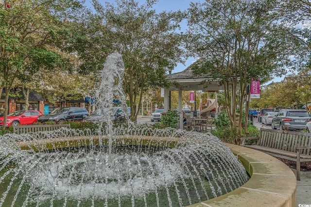 1741 Parish Way, Myrtle Beach, SC 29577 - view of property's community