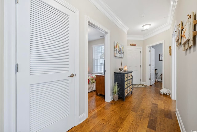 172 Ella Kinley Cir Unit 101, Myrtle Beach, SC 29588 - corridor featuring hardwood / wood-style flooring, ornamental molding, and baseboards