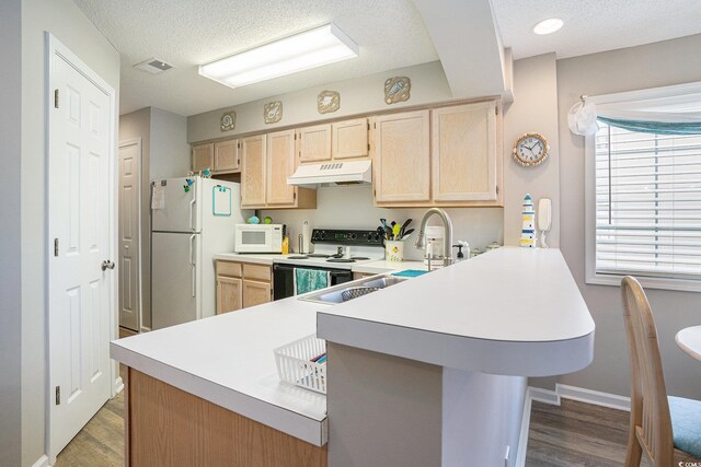 1900 Duffy St Unit L4, North Myrtle Beach, SC 29582 - kitchen with white appliances, ventilation hood, light brown cabinets, a peninsula, and light countertops