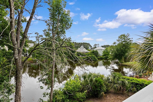 141 Cayman Loop, Pawleys Island, SC 29585 - water view