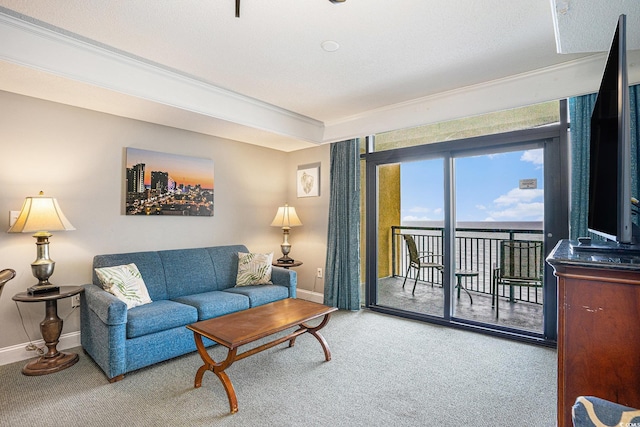 2600 N Ocean Blvd Unit 1406, Myrtle Beach, SC 29577 - living room with carpet, baseboards, and crown molding
