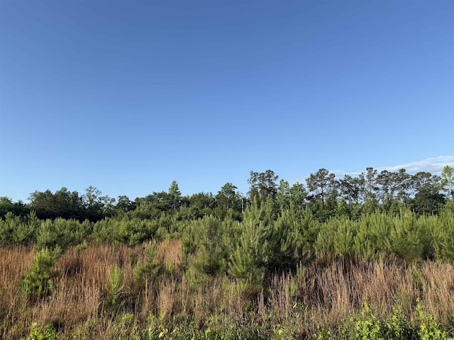 7ACRES-TBD Old Pee Dee Rd, Hemingway, SC 29554