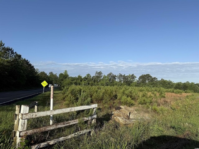 7ACRES-TBD Old Pee Dee Rd, Hemingway, SC 29554