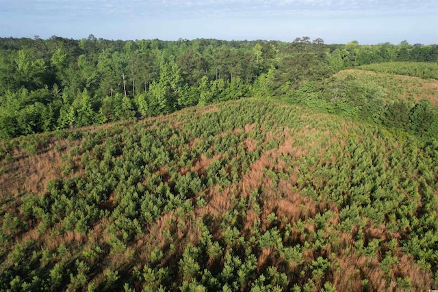 7ACRES-TBD Old Pee Dee Rd, Hemingway, SC 29554