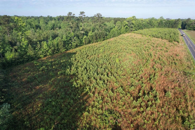 7ACRES-TBD Old Pee Dee Rd, Hemingway, SC 29554