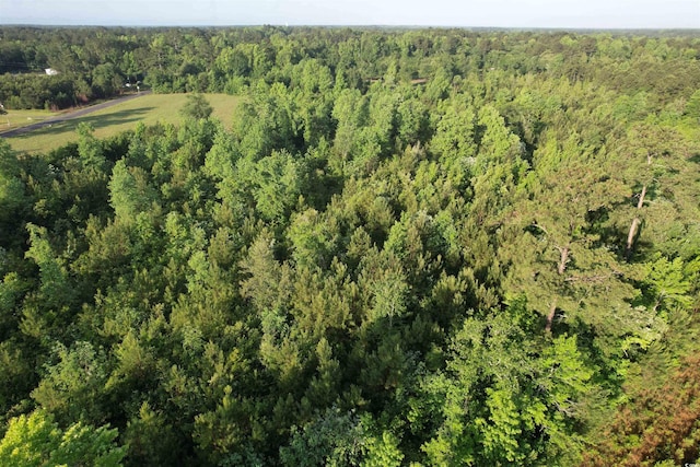7ACRES-TBD Old Pee Dee Rd, Hemingway, SC 29554