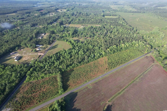 7ACRES-TBD Old Pee Dee Rd, Hemingway, SC 29554
