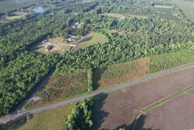 7ACRES-TBD Old Pee Dee Rd, Hemingway, SC 29554
