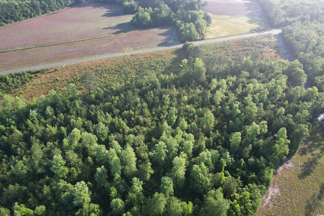 7ACRES-TBD Old Pee Dee Rd, Hemingway, SC 29554