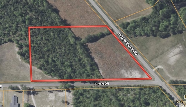 7ACRES-TBD Old Pee Dee Rd, Hemingway, SC 29554