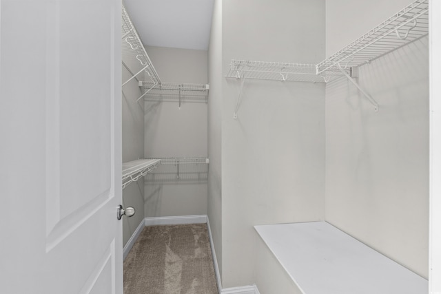 104 Browns Hollow Ct, Loris, SC 29569 - spacious closet featuring carpet floors