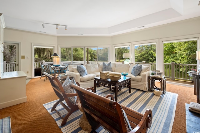 95 Sanderling Ave, Georgetown, SC 29440 - living area featuring light carpet, healthy amount of natural light, and track lighting