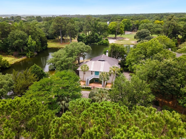 95 Sanderling Ave, Georgetown, SC 29440 - view of subject property featuring a nearby body of water and a forest