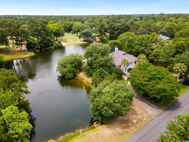 95 Sanderling Ave, Georgetown, SC 29440 - aerial view of a large body of water and a heavily wooded area