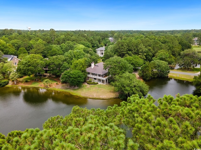 95 Sanderling Ave, Georgetown, SC 29440 - view from above of property featuring a heavily wooded area and a nearby body of water