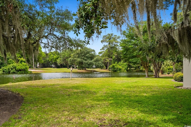 95 Sanderling Ave, Georgetown, SC 29440 - view of grassy yard featuring a water view and view of wooded area