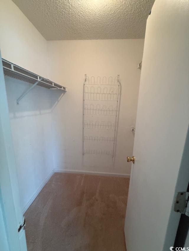 1980 Bent Grass Dr Unit F, Surfside Beach, SC 29575 - spacious closet featuring carpet floors