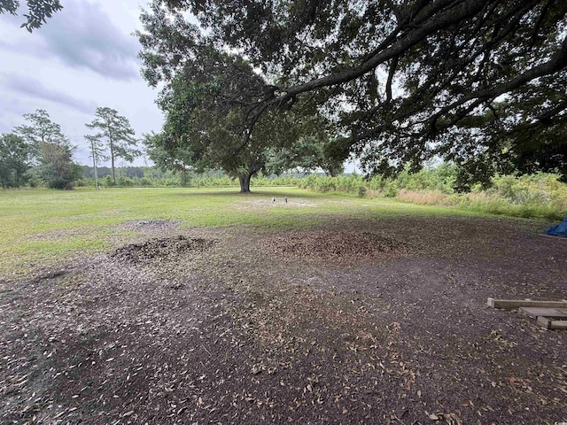 389 Easler Hwy, Greeleyville, SC 29056 - photo 2
