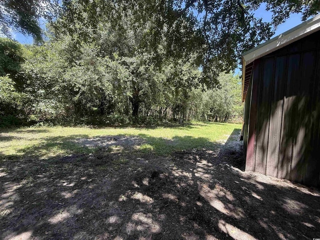 389 Easler Hwy, Greeleyville, SC 29056 - photo 4