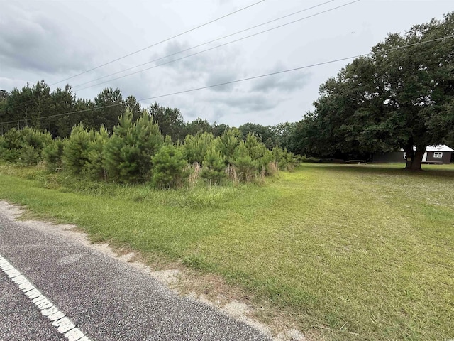 389 Easler Hwy, Greeleyville, SC 29056 - photo 9