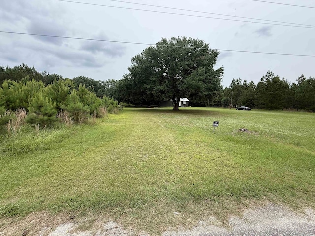 389 Easler Hwy, Greeleyville, SC 29056 - photo 10