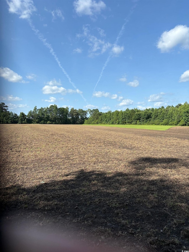 8745 Swamp Fox Hwy E, Tabor City, NC 28463