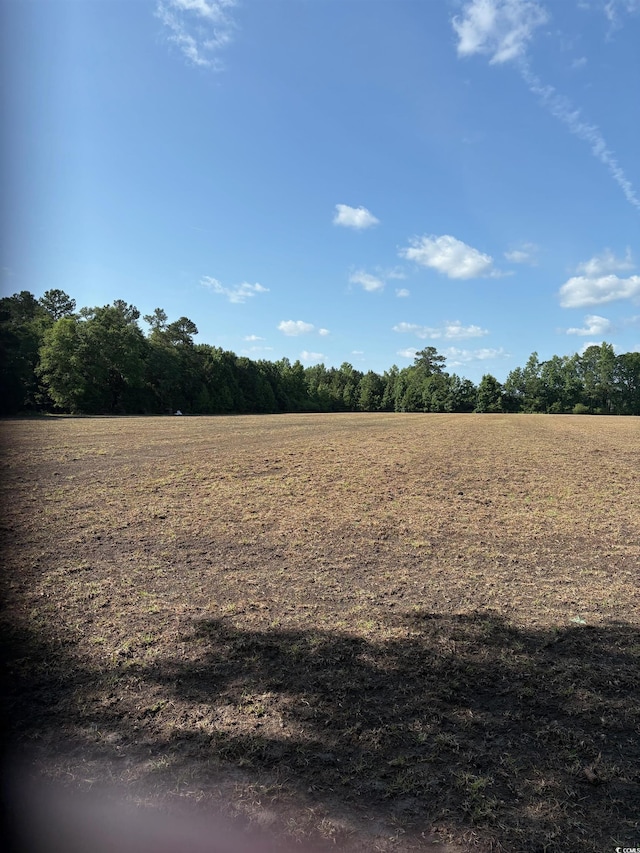 8745 Swamp Fox Hwy E, Tabor City, NC 28463