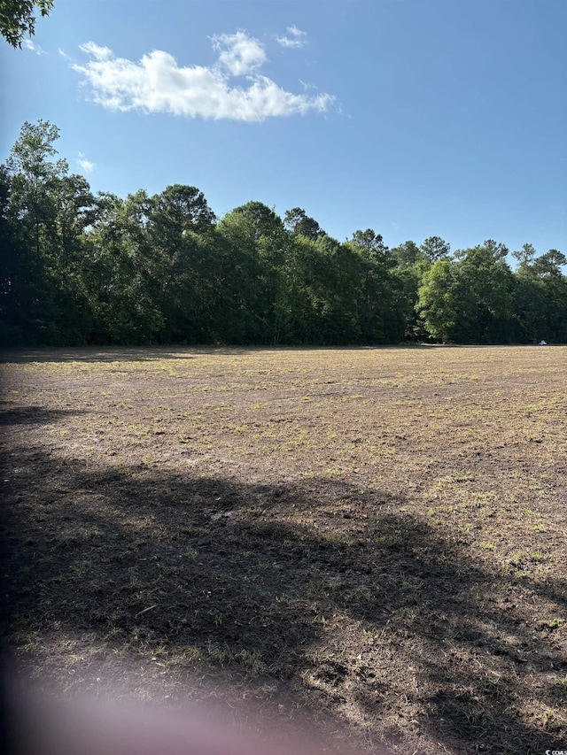 8745 Swamp Fox Hwy E, Tabor City, NC 28463