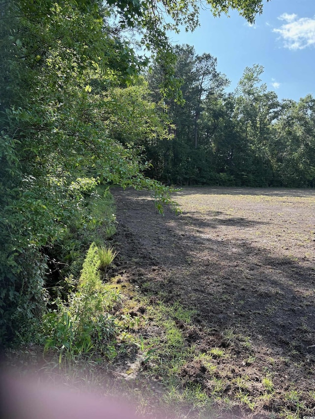 8745 Swamp Fox Hwy E, Tabor City, NC 28463