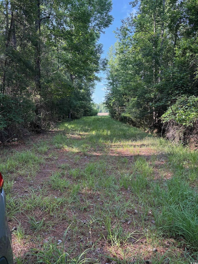 8745 Swamp Fox Hwy E, Tabor City, NC 28463