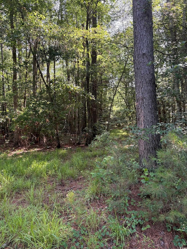 8745 Swamp Fox Hwy E, Tabor City, NC 28463