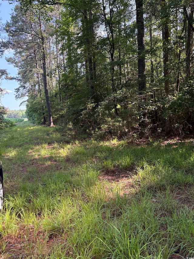 8745 Swamp Fox Hwy E, Tabor City, NC 28463