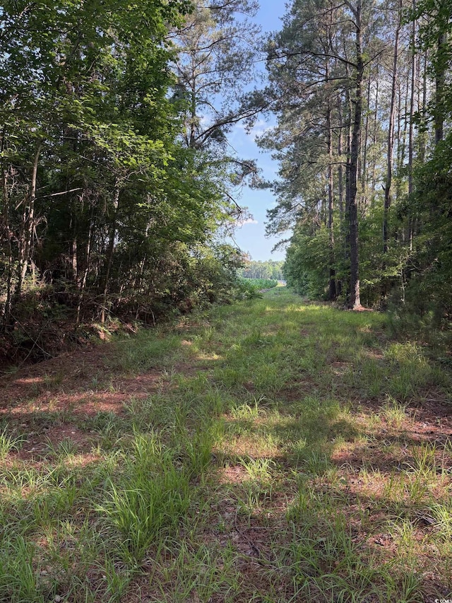 8745 Swamp Fox Hwy E, Tabor City, NC 28463