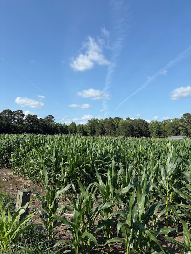 8745 Swamp Fox Hwy E, Tabor City, NC 28463