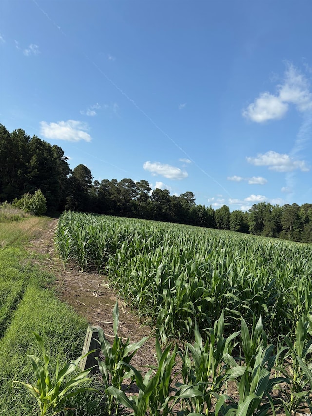 8745 Swamp Fox Hwy E, Tabor City, NC 28463
