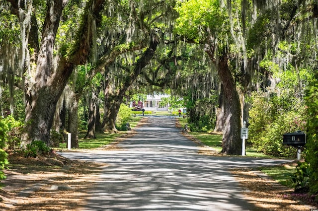 346 Tuckers Rd Unit A, Pawleys Island, SC 29585 - view of street